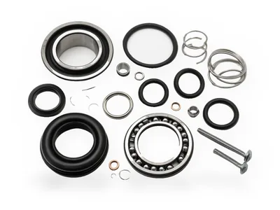 Representative image: replacement parts (O-ring, bearing, spring)
